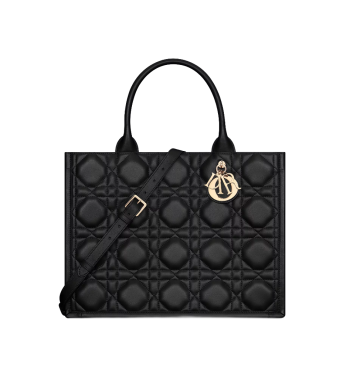 Small Dior Book Tote