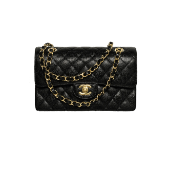 Small Classic Handbag