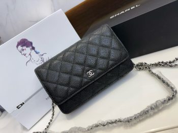 Chanel woc Classic Wealth Bag