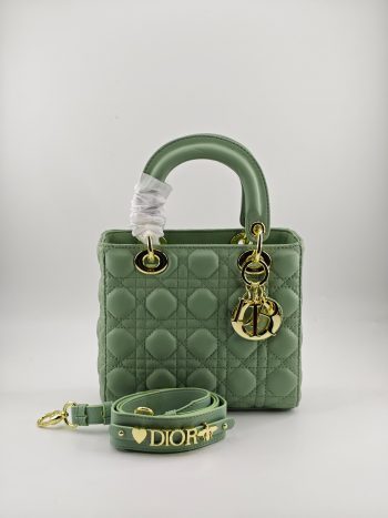 4-grid apple green lambskin Dior